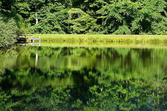 Reflections on a neighbor's pond