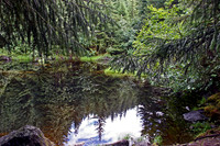 Natures Mirror