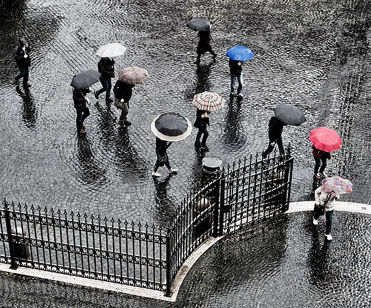 Umbrellas In Rain