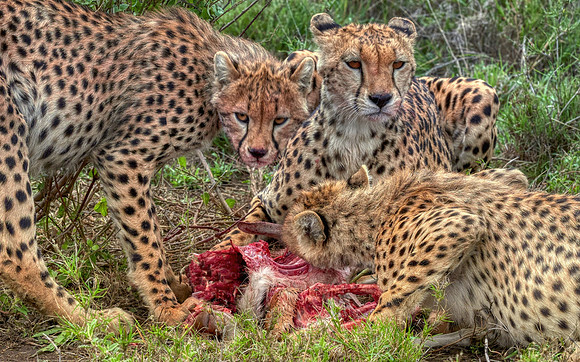 Lunch With Mom