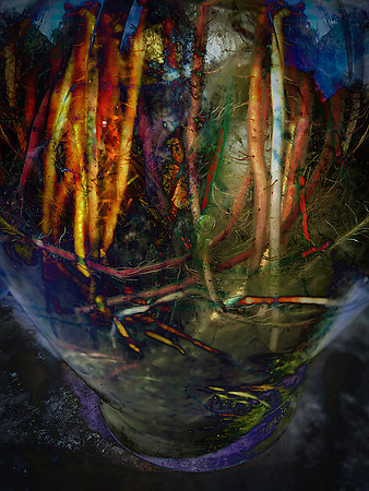 Rooted