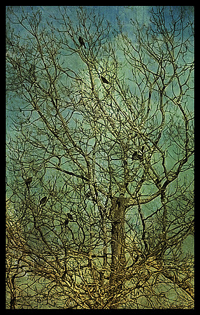 Winter Gathering