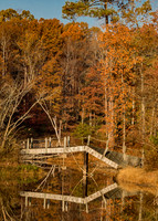 Bridge with a Twist