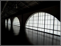 Circles of Light