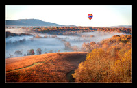 Autumn Flight