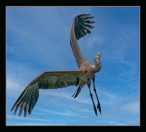Sky Ballet