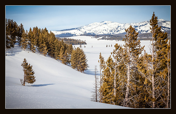 Winter in Yellowstone