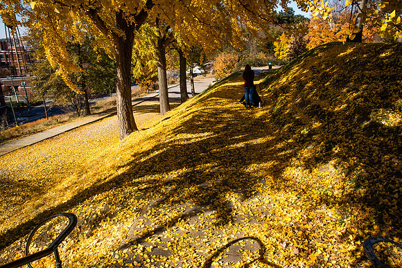 Libby Hill Park