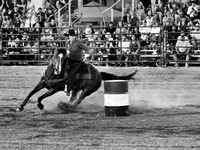 Barrel Racer