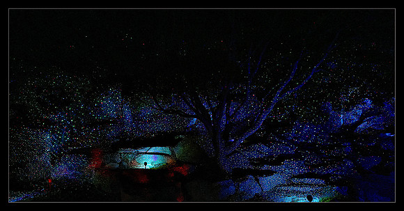 Myriad Lights at Maymont