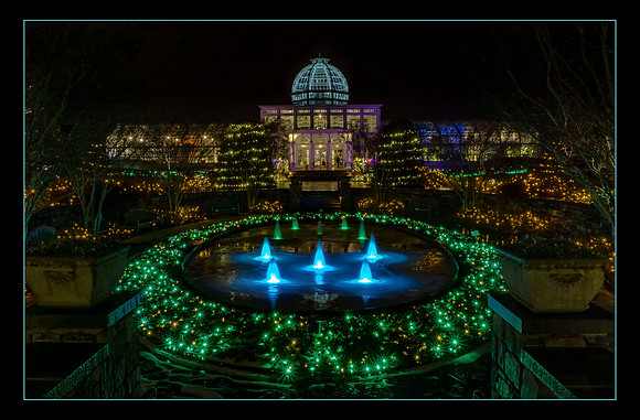 Winter Garden
