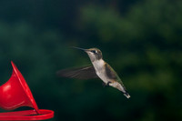 About time to migrate