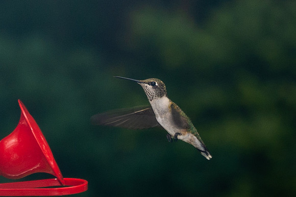 About time to migrate