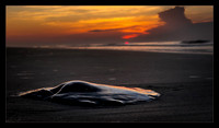 Last Sunrise