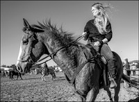 Barrel racing warmup pen