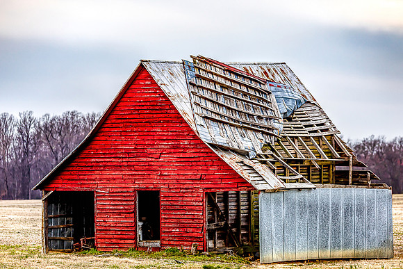 Farm Dilemma