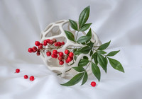 Nandina