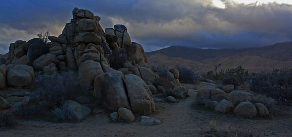 Mojave Desert trail