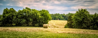 End of Harvest