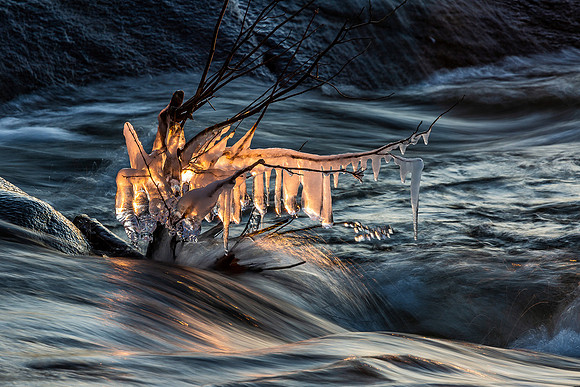 Belle Isle Chandelier