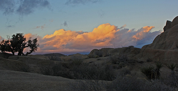 Mojave Desert sunset