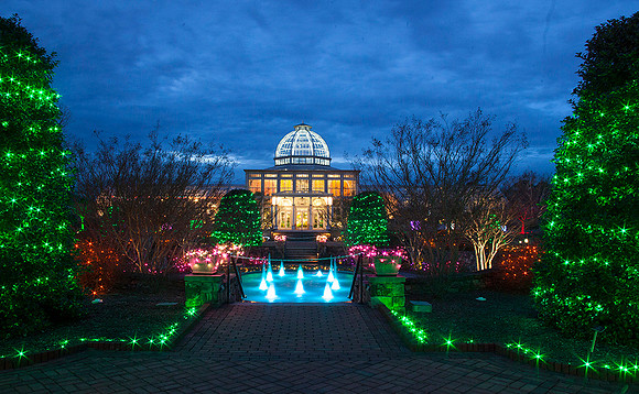 Lewis Ginter