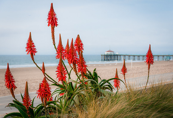 Manhattan Beach