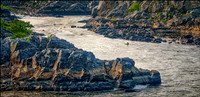 Crocodile Rock