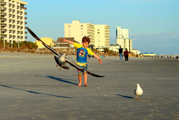I'm Flying