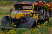 Flower truck