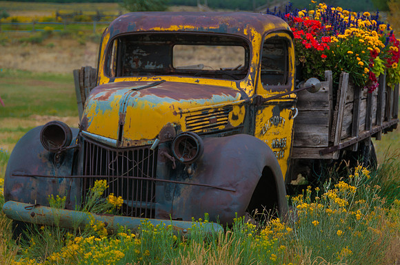Flower truck