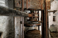 Olive Press