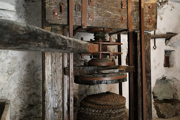 Olive Press