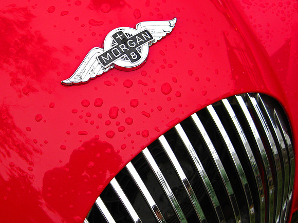 Wet Red Morgan