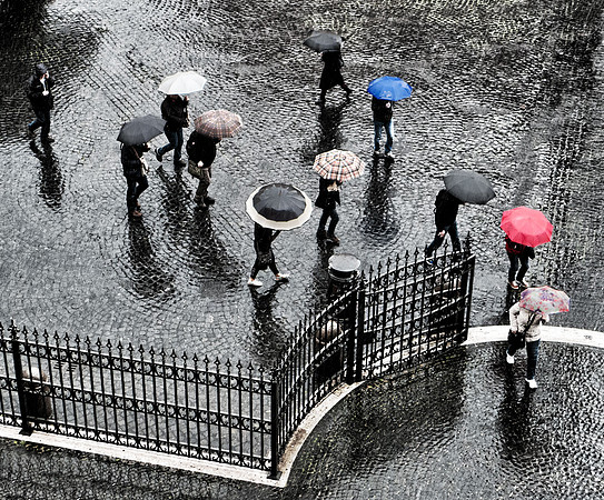 Umbrellas in the Rain