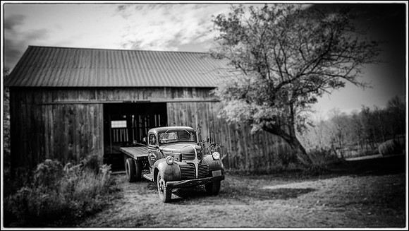 Steve's Garage