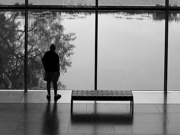 The Lone Visitor