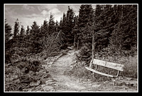 2016_03 - Assigned Subject - Sepia