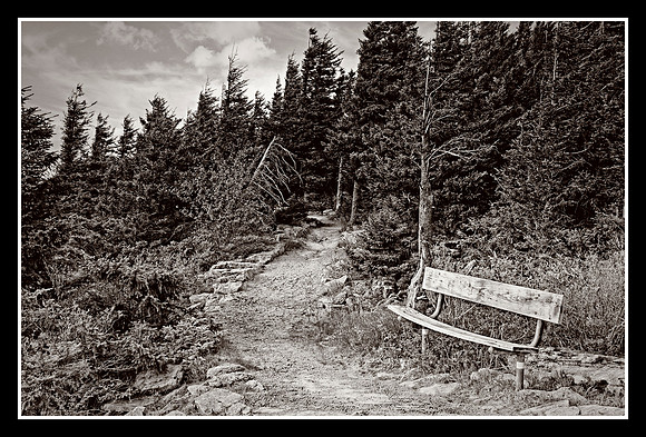 A Seat at the Top