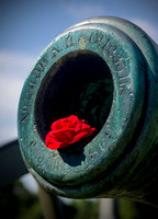 Guns & Roses