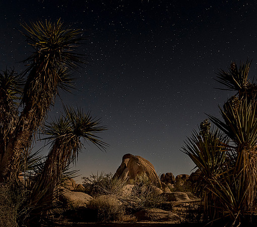 Framing the Stars
