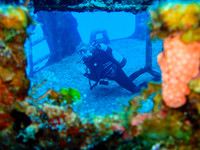 On the Wreck