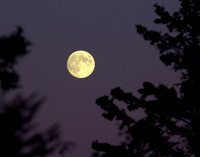 Getting Mooned