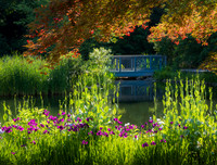Lewis Ginter Botanical Gardens