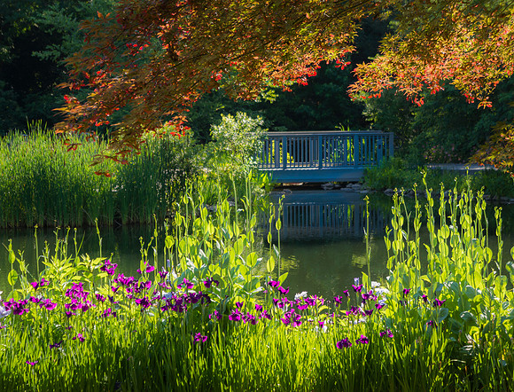 Lewis Ginter Botanical Gardens