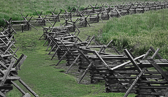 Road to Gaines Mill