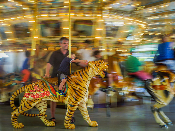 Catch a TIger by the Ear