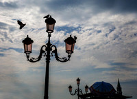 Birds and Street Lamp