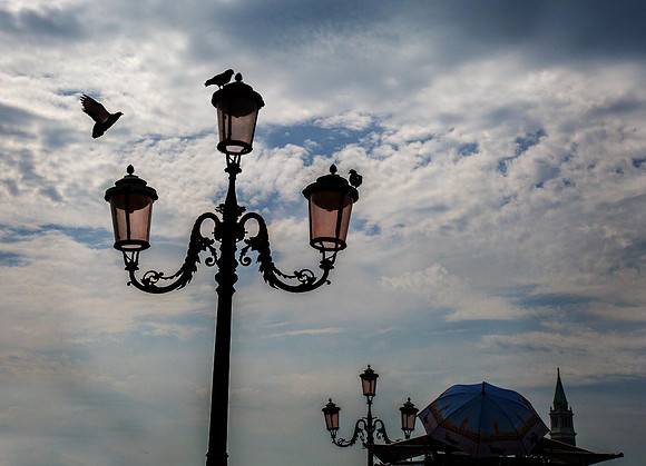 Birds and Street Lamp