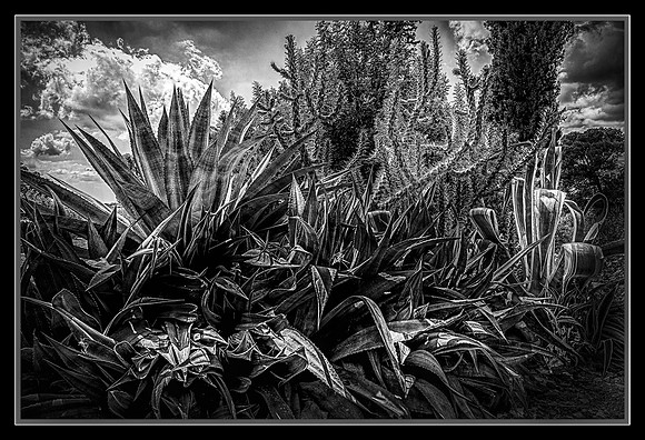 Oversharpened